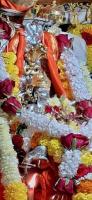 Palki Utsava and Maha Aarati